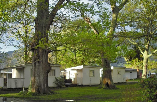 Cello, Acorn and Fish Cabin Accommodation