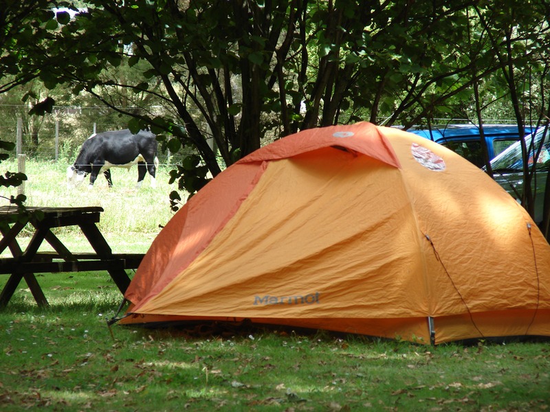Holiday Park Camping